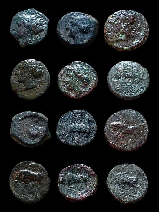Greece (Magna Graecia), Sicily, Carthage. Lot x 6 Æ coins: Carthage; Syracuse, Dionysos I, Hieron II, Agathokles; Gela; Panormos Siculo Punic,  4th-2nd century BC