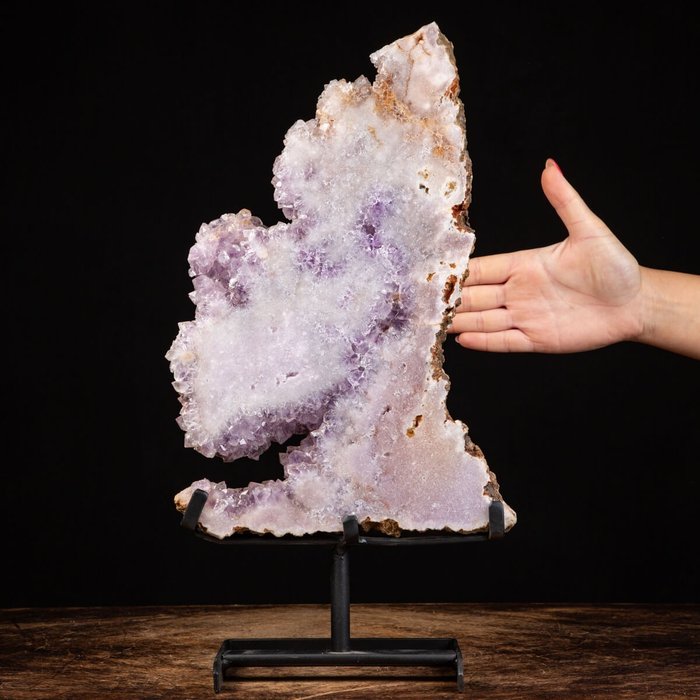 美麗而罕見的粉紅紫水晶石英德魯茲 - 片 - 高度: 430 mm - 闊度: 230 mm- 3410 g