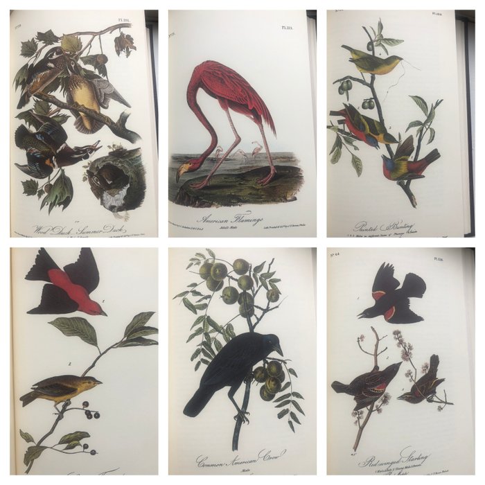 John James Audubon - Selected Birds of America. - 1977