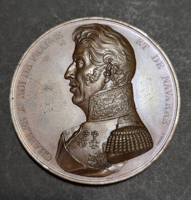 France. Charles X (1824-1830). Médaille Roi de France et de Navarre - historique bataille Graveur Caqué - 1854