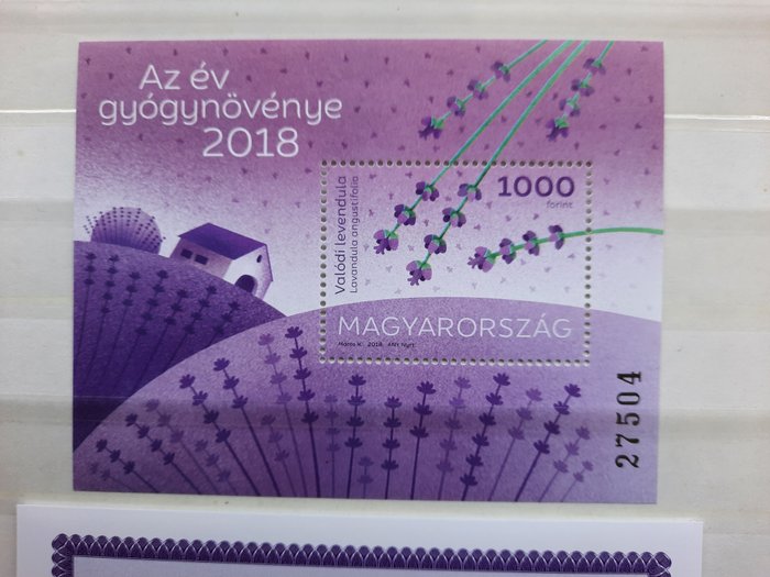 Ungarn 2007/2020 - Very modern (face value) collection including blocks with a high postage value in a decent stock - Michel