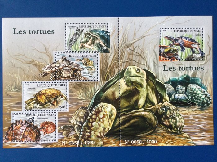 Afrique - Turtles