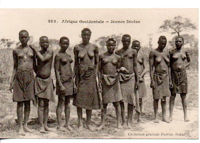 France, Sénégal - Afrique, Ethnologie (cartes postales ethniques / ethnographiques) - Cartes postales (Collection de 45) - 1904