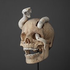 GEEN RESERVEPRIJS – Tamarinde houten schedel met slangensnijwerk uit hertengewei op standaard – Schedel op een standaard – Tamarindus – 25 cm – 10 cm – 11 cm- Geen-CITES-soort
