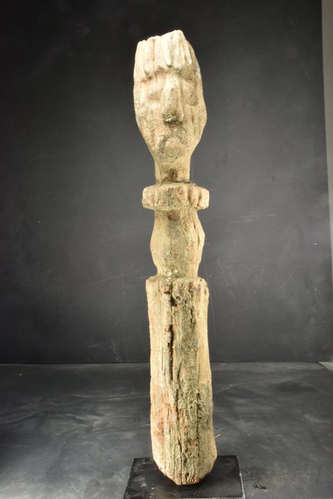 Figura di antenato (1) - Legno - Atoni - Timor (ovest), Indonesia 
