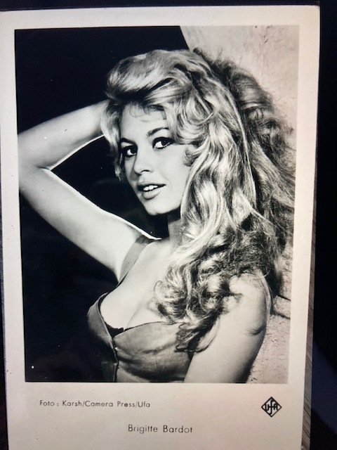 Cinéma, La réalisatrice Brigitte Bardot - Cartes postales (Collection de 20) - 1965-1955
