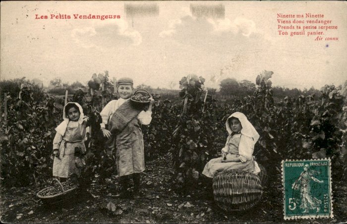 France - unique collection of grape pickers, wine cellars - Postcards (41) - 1905