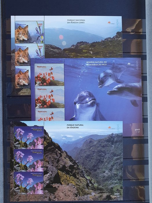 Europa CEPT 1990/2012 - Verzameling blokken en enkele postzegelboekjes in een stockboek