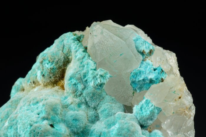 SHATTUCKITE minerale extra raro ( velluto ) su quarzo - qualità eccellente - grande formazione - spray radiali - TOP - senza prezzo di riserva - 47×35×21 mm - 33 g
