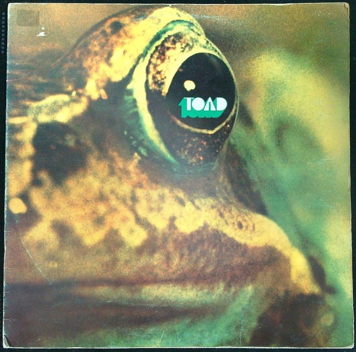 Toad (Hard Rock, Prog Rock) - Toad (Switzerland 1971 1st pressing LP) - LP Album - Stereo - 1971/1971