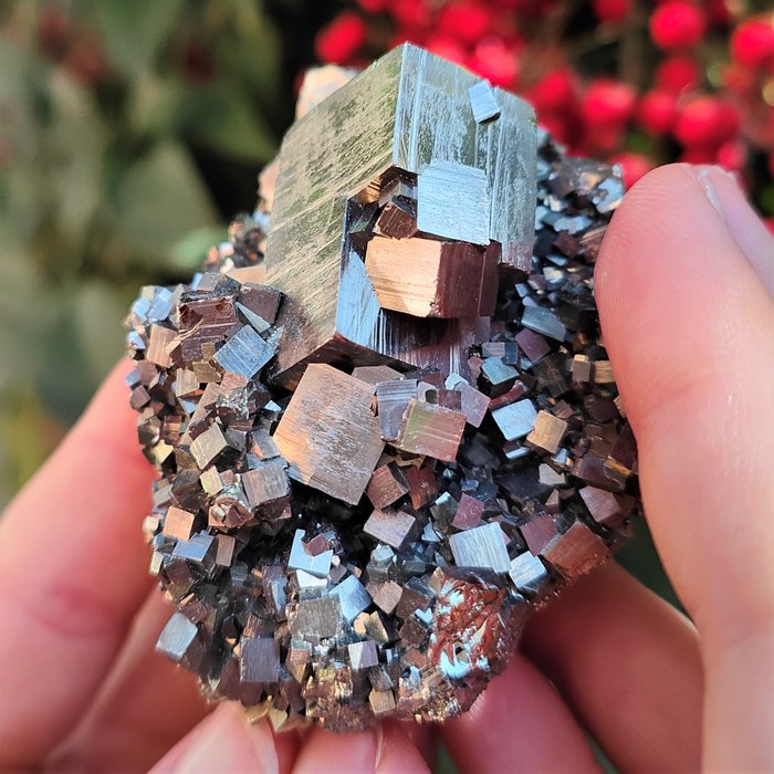 ELEGANTE PIRITE CUBICA, più di 50 cristalli PERFETTI, completamente NATURALE Cluster di cristallo - 71×52×40 mm - 211.26 g - (1)