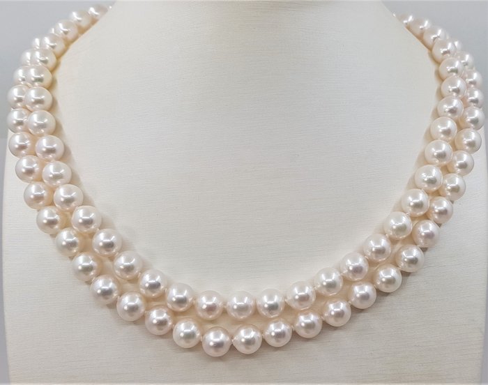 Preview of the first image of 8.5x9mm Akoya Pearls - 14 kt. Yellow gold - Necklace.
