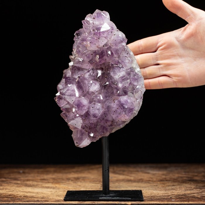 暗紫水晶 定制底座上的晶簇 - 高度: 240 mm - 宽度: 120 mm- 1560 g