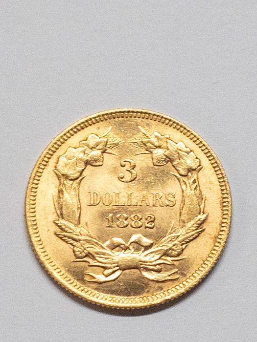 USA. 3 Dollars 1882 Indian Princess Heed