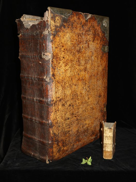 Anonym - Cronologia im alten und neuen Testament beschrieben - 1650