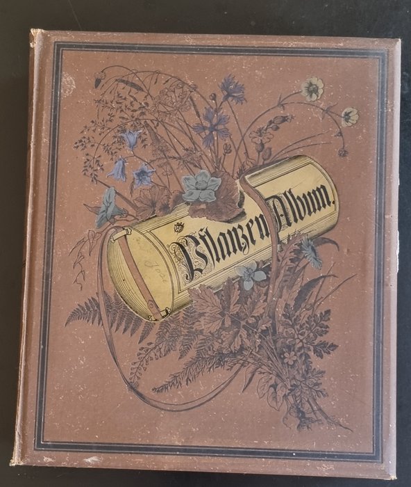 Dr F. E. Helm - Pflanzen-Album zum Sammeln und zweckmässigen Aufbewahren gepresster Pflanzen und Pflanzenteile - 1884
