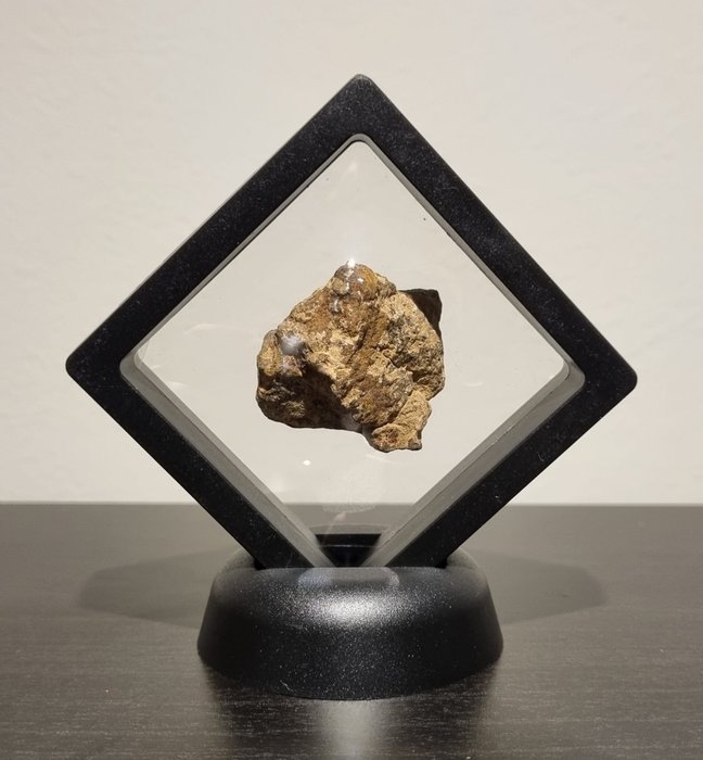Al Haggounia 001 meteoritt I vakker utstilling - Høyde: 40 mm - Bredde: 35 mm - 23 g - (1)