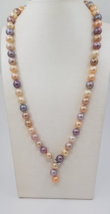 Image 2 of no reserve - 9x11mm Round Shimmering Multi Edison Freshwater Pearls - 925 Silver - Necklace