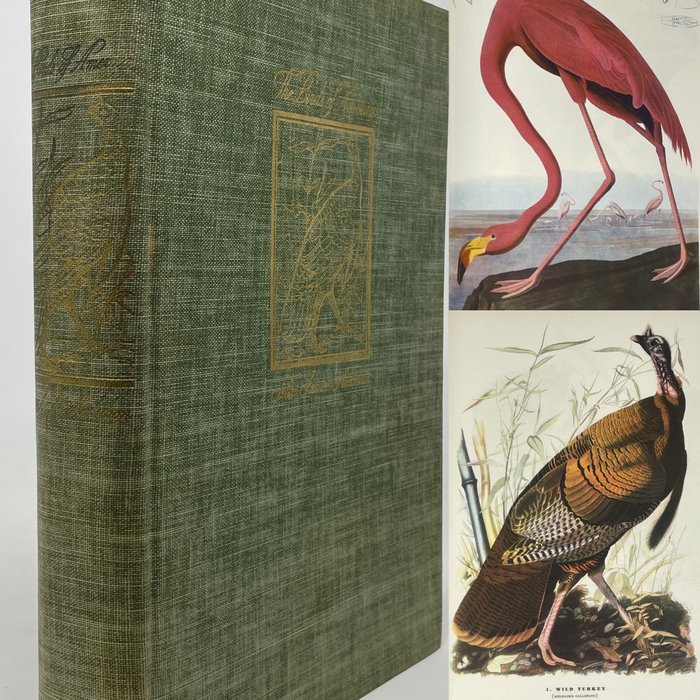 John James Audubon - The Birds Of America [500 full-page colour plates] - 1937