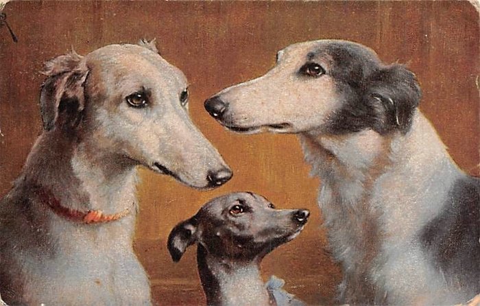 Tiere, Hundekarten sehr unterschiedlich in den Jahren - Postkarten (75) - 1911