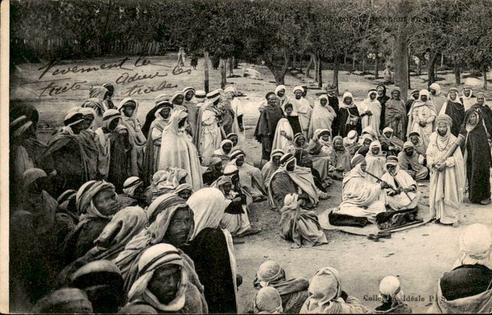 Tunisia - Street life, markets, city and country - Postcards (78) - 1909-1930