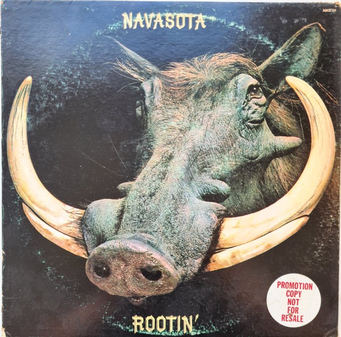 Navasota - Rootin' - LP Album - Promo pressing - 1972/1972