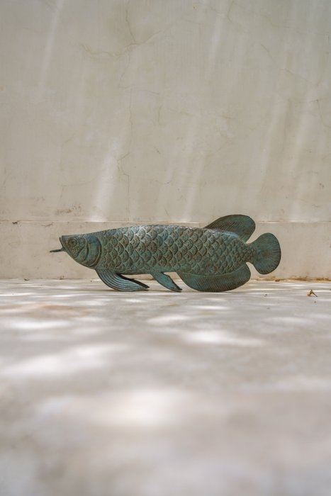 Skulptur, NO RESERVE PRICE - Sculpture, Arowana Fish Patinated - Bronze - 13 cm - Brons