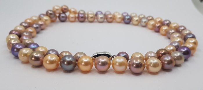 Image 3 of no reserve - 9.5x11.5mm Round Shimmering Multi Edison Freshwater Pearls - 925 Silver - Necklace