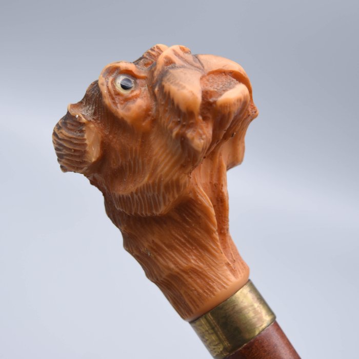Image 2 of ancient cane - Wood - First half 20th century
