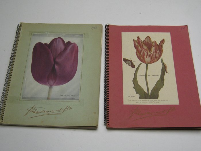 J.J. Grullemans - Oignons à fleurs et Plantes de Hollande / Grandes cultures D'oignons a Fleurs et Plantes divers - 1947/1948