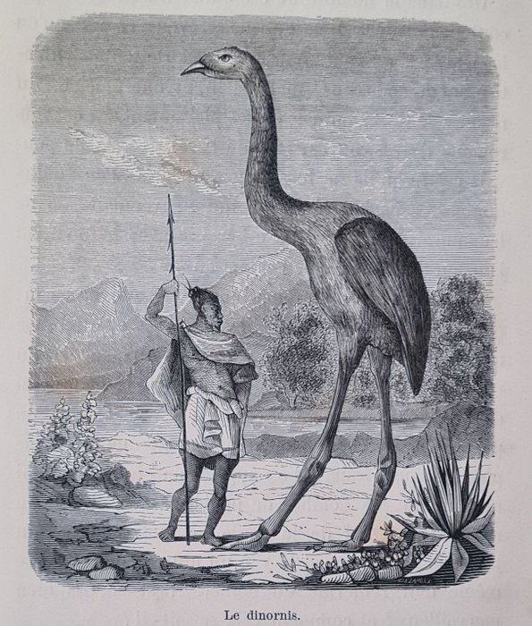 Preview of the first image of Victor Meunier, L F Jéhan - Les animaux à métamorphoses + Tableau de la création - 1867.