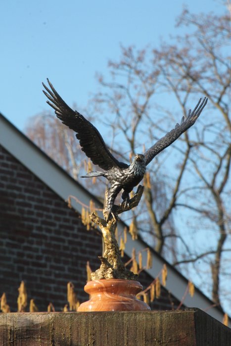 Sculptură, eagle in flight - 33 cm - marmură de bronz