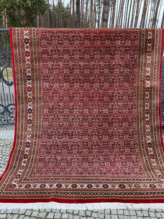 顶级印度-赫拉蒂 - 地毯 - 350 cm - 250 cm