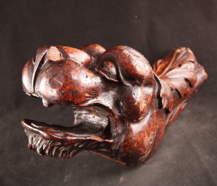 Escultura, Grote leeuwenkop - 50 cm - Madeira