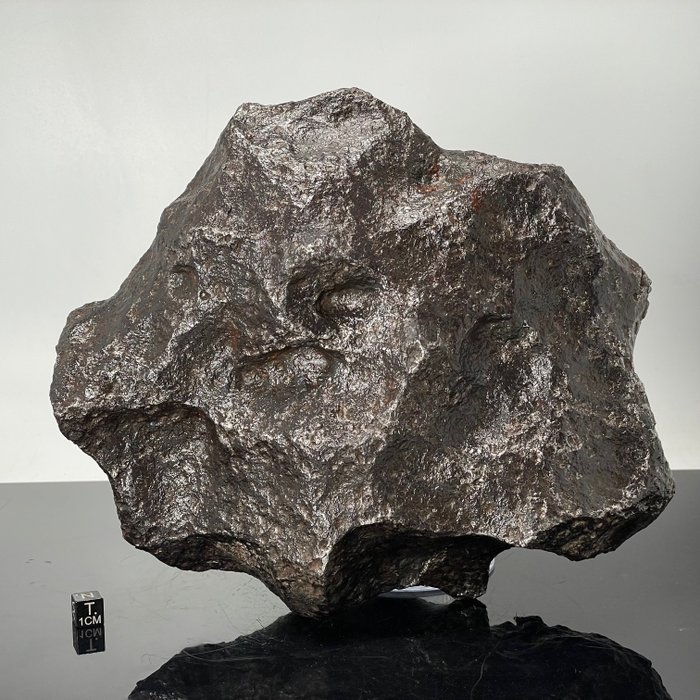 XXL Campo del Cielo, noyau d'un astéroïde Météorite métallique - 14 kg