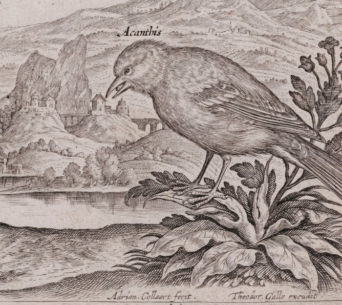 Image 3 of Adriaen Collaert (1560-1618) - Landscape with Hoopoe and Acanthis