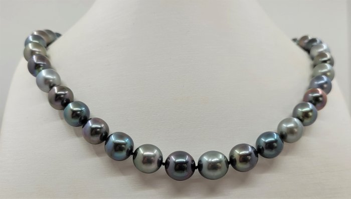 Preview of the first image of no reserve - Certified Aurora Peacock - 8.0x10.9mm Multi Tahitian Pearls - 14 kt. White gold - Neck.