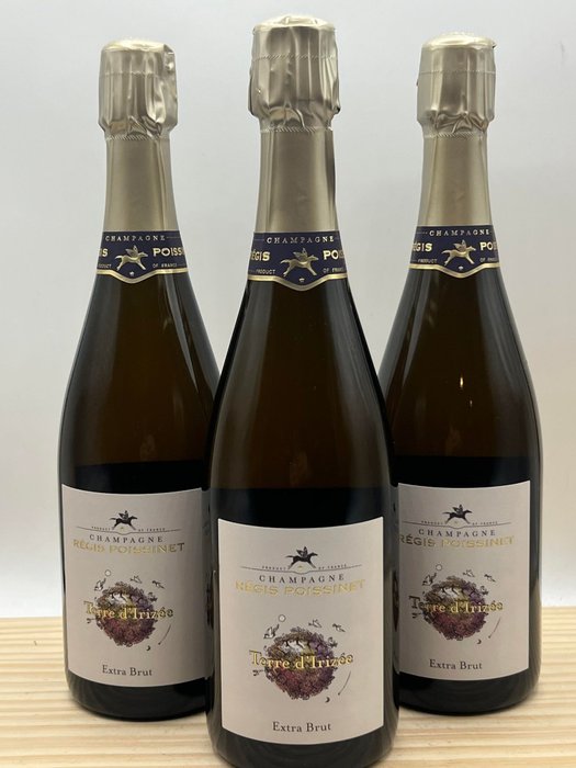 Régis Poissinet, Terre d'Irizée - Champagne Extra Brut - 3 Flessen (0.75 liter)