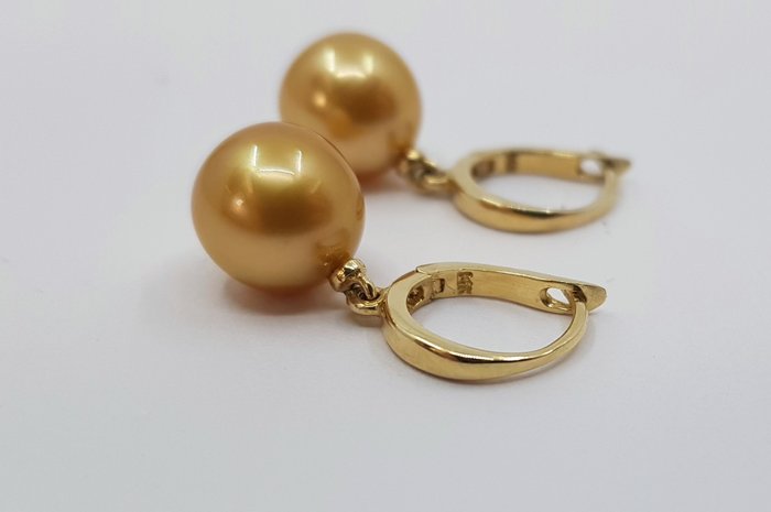 Image 2 of 9x10mm Deep Golden South Sea Pearls - 14 kt. Yellow gold - Earrings
