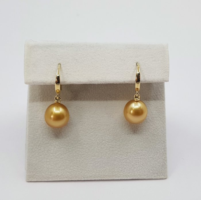 Image 3 of 9x10mm Deep Golden South Sea Pearls - 14 kt. Yellow gold - Earrings