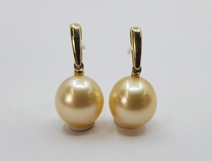 Preview of the first image of 11x12mm Golden South Sea Pearls - 14 kt. Yellow gold - Earrings.