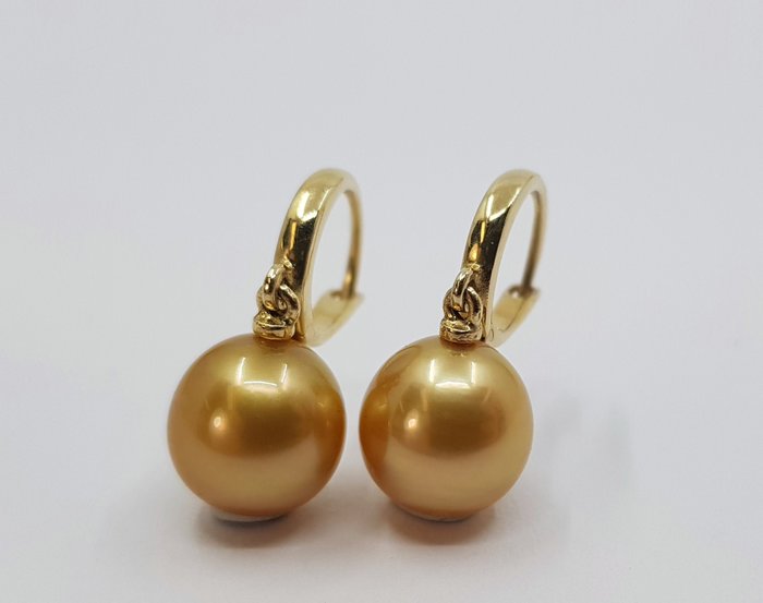 Preview of the first image of 9x10mm Deep Golden South Sea Pearls - 14 kt. Yellow gold - Earrings.
