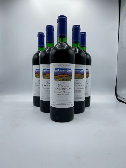 1995 Domaine Paul Bruno, Valle del Maipo - 邁坡谷 - 6 瓶 (0.75L)