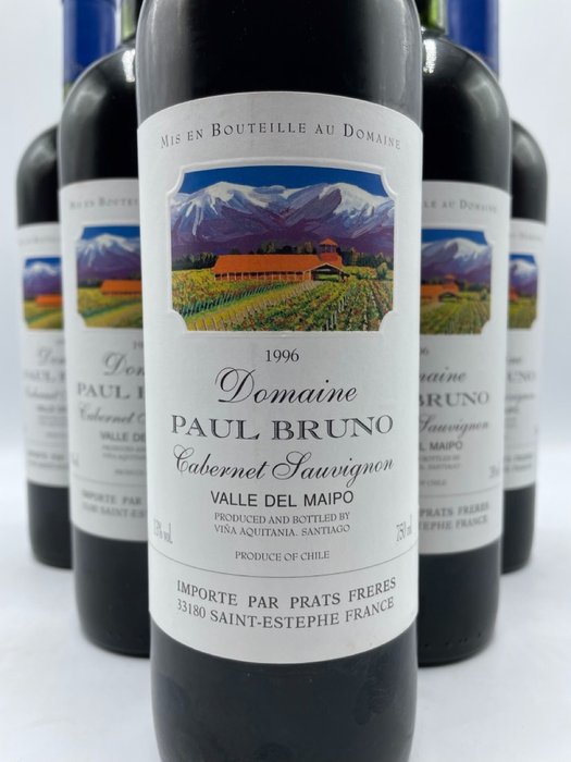 1996 Domaine Paul Bruno, Valle del Maipo - Maipo Valley - 6 Bottles (0.75L)