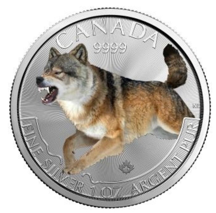 Kanada. 5 Dollars 2018 Der Wolf - mit Colour applikation, 1 Oz (.999)  (Ei pohjahintaa)