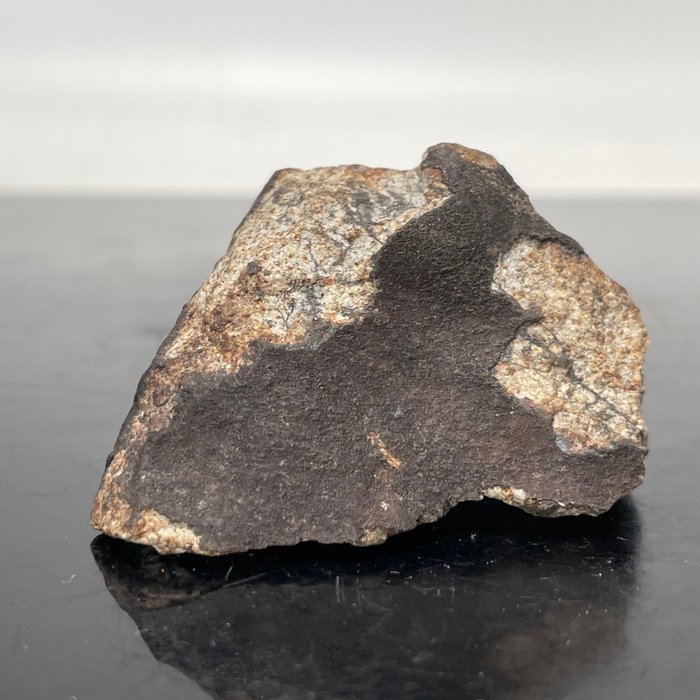 Meteorito XXL VIÑALES, com crosta de fusão. Orientação de Luz, Regmaglyphs - 56 g