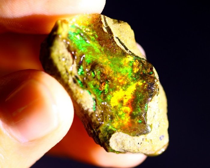 „Darmowa wysyłka” 33 ct - Kryształowy Opal - Szorstki (rzadko ze skamieniałością korzenia w środku)- 6.6 g