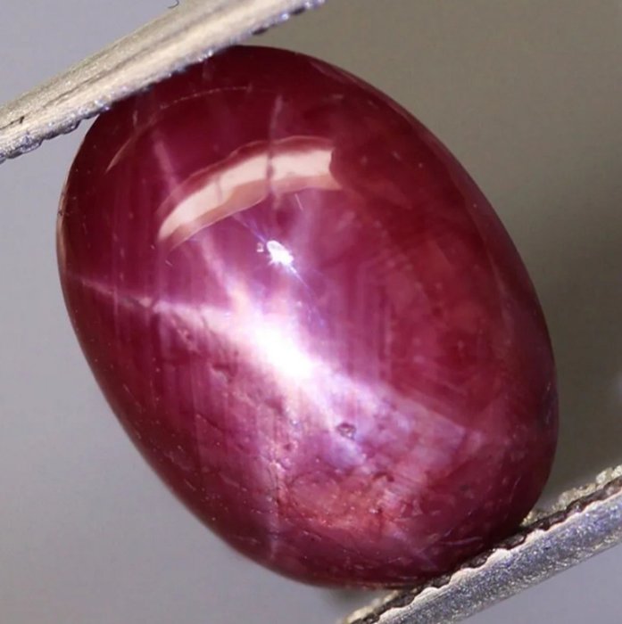 No reserve price: Star Ruby of 4.41 carats . - 10.4×8×4.7 mm - 0.882 g - (1)
