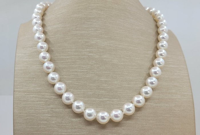 Halskette - 9 x 9,5 mm runde Akoya-Perlen 