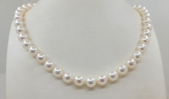 项链 9x9.5 毫米圆形 Akoya 珍珠